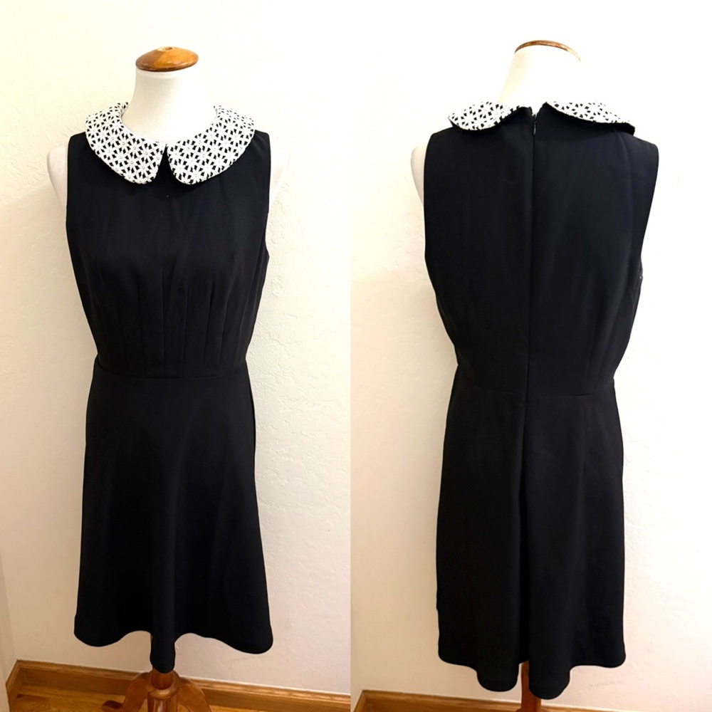 Elegant Black Dress with Lace Collar